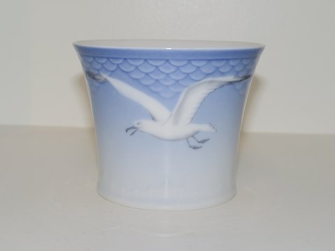 Seagull without gold edgeBeaker