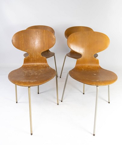 Set of four Ant chairs, model 3101, in light wood, designed by Arne Jacobsen in 
1952 and manufactured by Fritz Hansen from the 1950s. 
5000m2 showroom.
