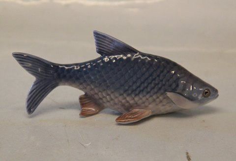 1385 Havskalle (DJ) 13,5 cm