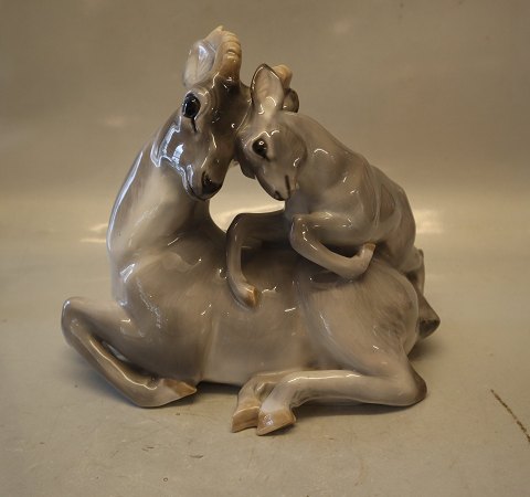 2439 RC Gazelle with babygazelle on back 20 x 25 cm Knud Kyhn Royal Copenhagen animal  figurine 