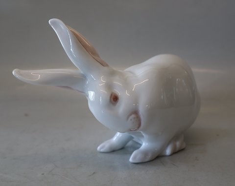 0378  Kgl. Hvid kradsende Kanin 13 x 19 cm Design Erik Nielsen 1902 EN 
 Kongelig Dansk Porcelæn