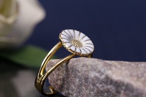 item no: 641331