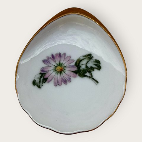 B&G: Chrysanthemum