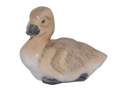 Fugle<br>Royal ...
