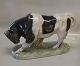 Royal Copenhagen figurine 1195 RC Bulll. Tyr Design Knud Kyhn pre 1910 22 x 38 cm