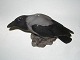 Stor Bing & Grøndahl FigurKrage Dek. Nr. 1714Længde 30,5 cm