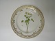 Royal Copenhagen Flora Danica Lunch plate # 3550
