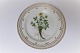 Royal Copenhagen Flora Danica Lunch plate # 3550