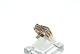 Lady Gold ring 8 carat
Size: 60