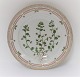 Royal Copenhagen, Flora Danica. Middags tallerken. Design #3549. Diameter 25 cm. (1 sortering). Veronica agrestis L