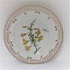 Royal Copenhagen, Flora Danica. Middags tallerken. Design #3549. Diameter 25 cm. (1 sortering). Spartium scoparium L