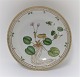 Royal Copenhagen. Flora Danica. Round bowl . Diameter 25 cm. Model # 3505 (1 quality). Hydrocharis Morsus-ranae L