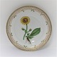 Royal Copenhagen, Flora Danica. Middags tallerken. Design #3549. Diameter 25 cm. (1 sortering). Arnica montana L