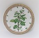 Royal Copenhagen, Flora Danica. Middags tallerken. Design #3549. Diameter 25 cm. (1 sortering). Solanum nigrum L
