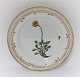 Royal Copenhagen, Flora Danica. Frokost tallerken. Design #3550. Diameter 22 cm. (1 sortering). Papaver nudicaule L