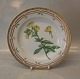 20-3549 Traditional Dinner Plate: Oenothera biennis L . New # 624 10" / 25 cm    Flora Danica Danish Porcelain