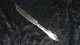 Cheese knife #Lad # Silver stainLength 20.2 cm approx