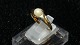 Ladies ring with pearl in 14 carat Gold
Size 60
