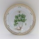 Royal Copenhagen. Flora Danica. Round dish. Model # 376 (3523). Diameter 30 cm. (1 quality). Anemone silvestris L