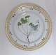Royal Copenhagen, Flora Danica. Frokost tallerken. Design #3550. Diameter 22 cm. (1 sortering). Oxalis acetosella
