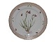 Flora Danica 
Side plate 17 cm. #3551