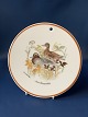 Jagtstellet Mads Stage Butter piece / plate, Atlingand 16 cm.
(Anas Querquedula)