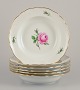 Meissen, 
Germany.
"Pink Rose". 
Six deep 
plates.