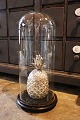 Dekorativ , gammel cylinderformet fransk glas Dome / ...