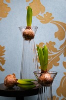 vare nr: Holmegaard hyacintglas