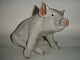Royal Copenhagen Figurine, Sitting Pig.No. 414.