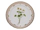 Flora Danica
Luncheon plate 22 cm. #3572