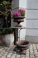 French 19th century cast iron jars with a really nice old patina...