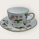 WedgwoodWild StrawberryTekop*150kr