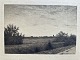 Radering Adolph Larsen 1899 - Sommeraften ved Rødovre.