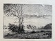 Radering af Sigvard Hansen - Landskab 1896
