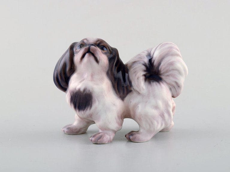 Dahl Jensen hundefigur, Pekingeser.Dekorationsnummer 1146.
