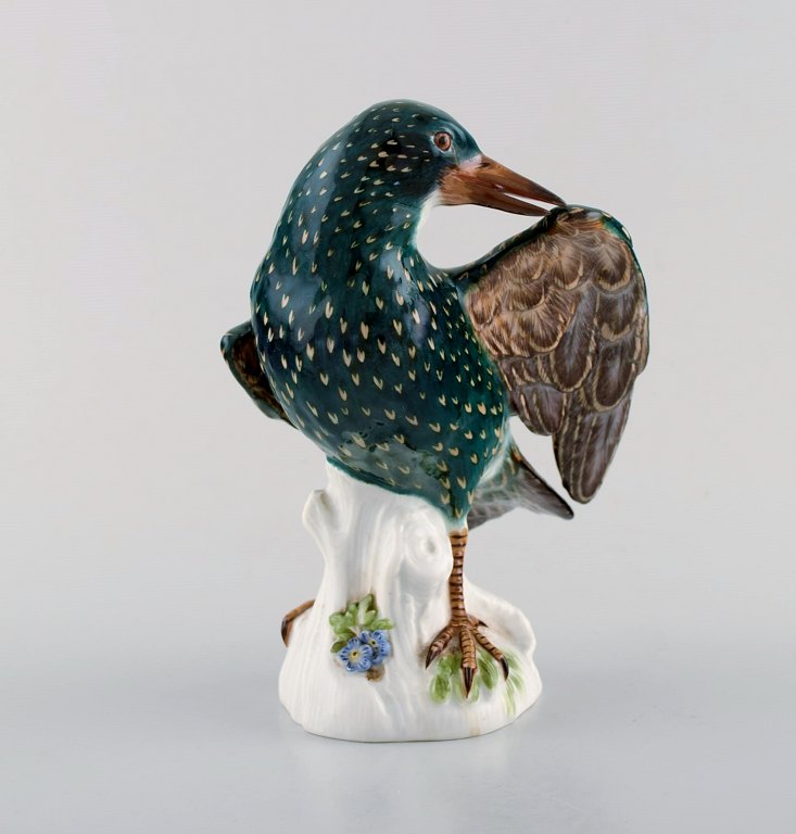 Rare Meissen figure after Johann Joachim Kändler. Starling. Beautiful glaze. Model number 974. Early 20th century.