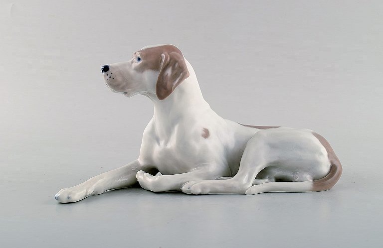 Royal Copenhagen porcelain figurine. Pointer. Model number 1635.