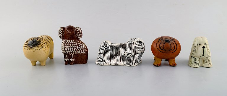 Lisa Larson for Gustavsberg. Five dogs in glazed ceramics. Poodle, bulldog, pekingese and others. 1970