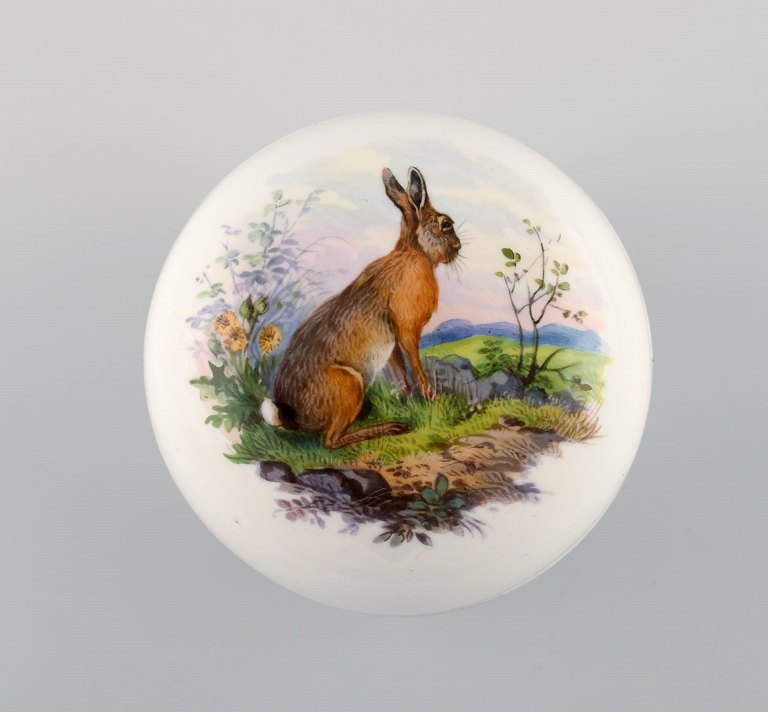 Meissen lidded jar in hand-painted porcelain with hare. 20th century.