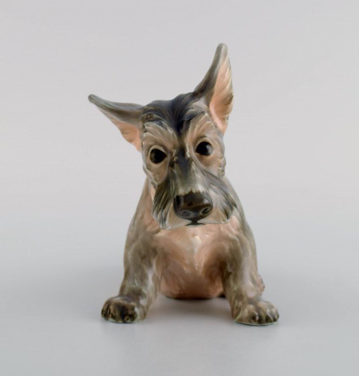 Dahl Jensen porcelain figure. Scottish terrier puppy. Model number 1078. 1930s / 40s.