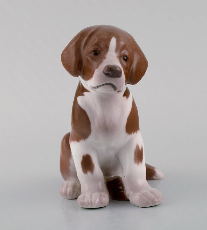 Antique Bing & Grøndahl porcelain figurine. Saint Bernhard puppy. Model number 1926. Early 20th century.