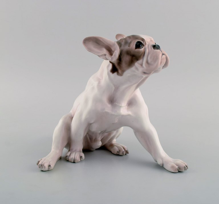 Dahl Jensen for Bing & Grøndahl. Porcelain figure. French bulldog. 1920s / 30s.