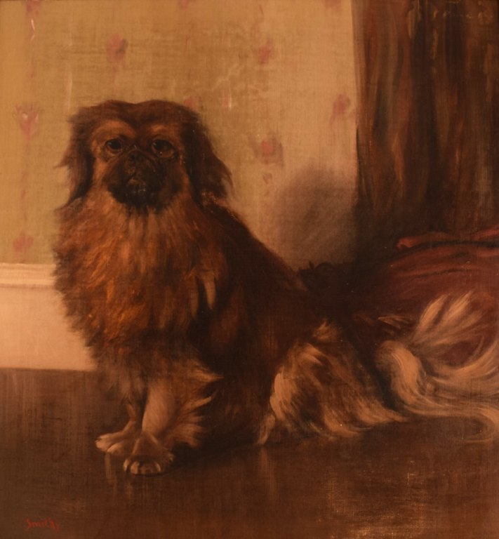 British artist. Oil on canvas. Pekingese. Late 19th century.High quality oil painting.
