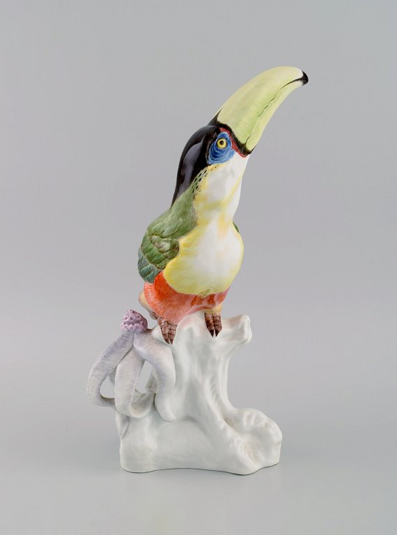 Paul Walther for Meissen. Large antique figure in hand-painted porcelain. Toucan bird. Early 20th century.