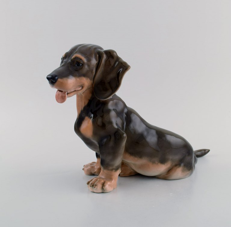 Stor Royal Copenhagen porcelænsfigur. Gravhund. Modelnummer 856. Dateret 1964.