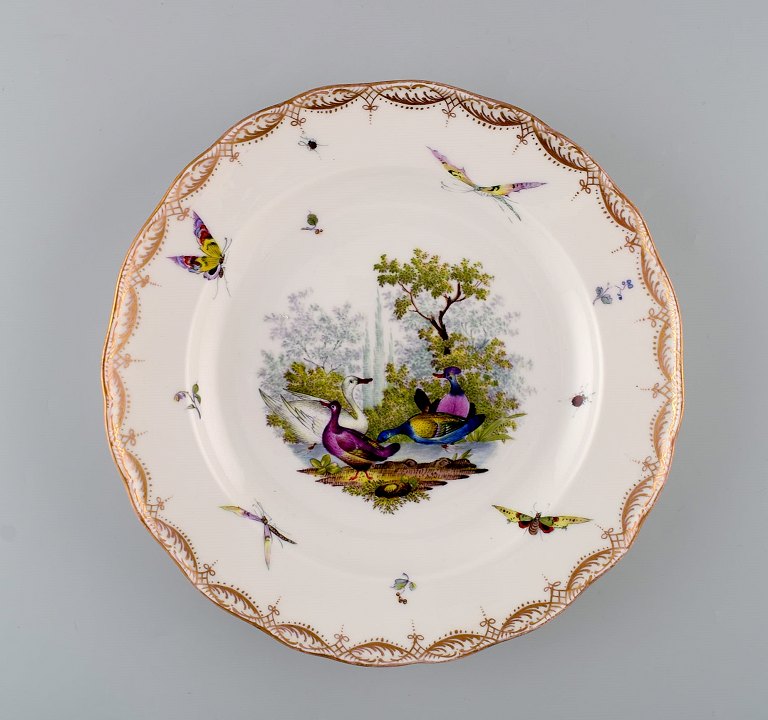 Antique and rare Meissen porcelain plate with hand-painted birds, insects and gold decoration. 19th century.