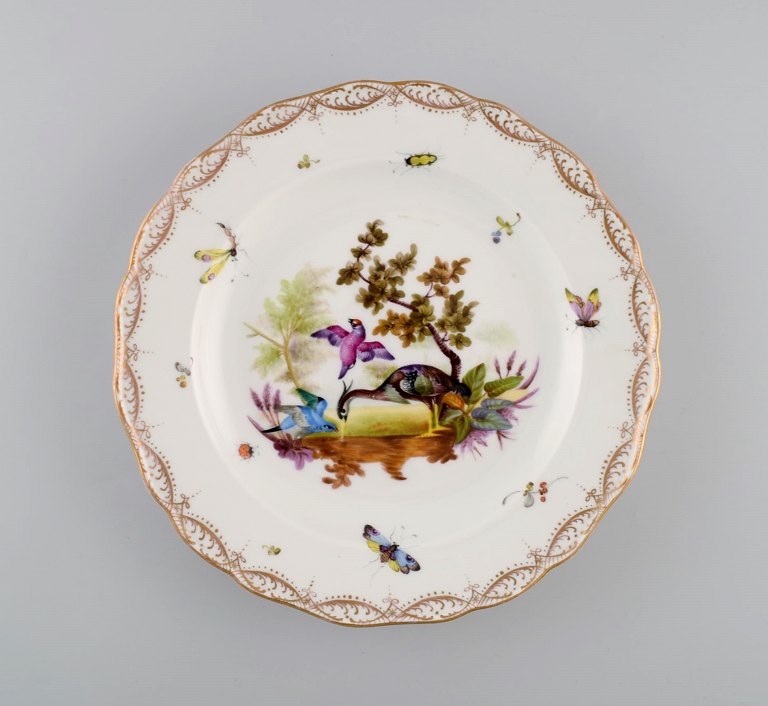 Antik og sjælden Meissen porcelænstallerken med håndmalede fugle, insekter og gulddekoration. 1800-tallet.