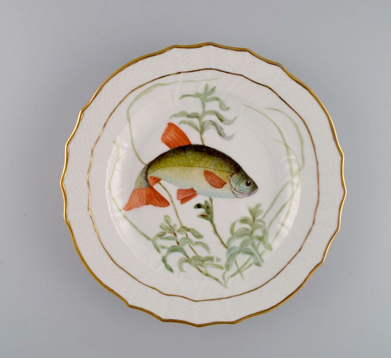 Royal Copenhagen middagstallerken i porcelæn med håndmalet fiskemotiv og guldkant. Flora / Fauna Danica stil. Dateret 1951.