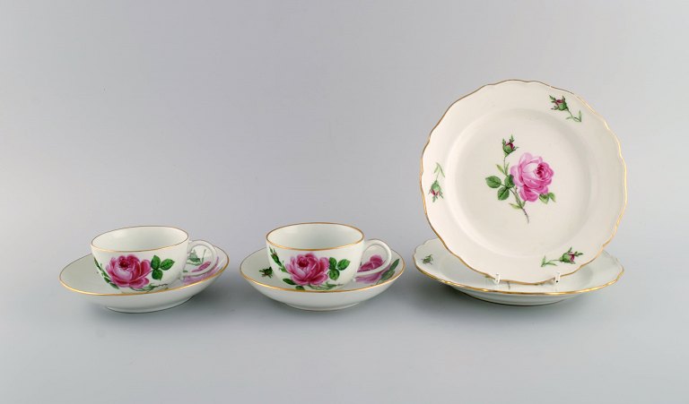 Meissen Pink Rose. To tekopper med underkopper og to tallerkener i håndmalet porcelæn med guldkant. Tidligt 1900-tallet.